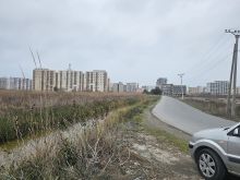 Okazion shitet prona 4000m2 Adresa Shengjin 