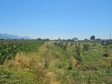 Okazion shitet prona 2171m2 Adresa Rrile Lezhe