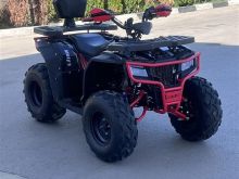 Shes Atv 250c