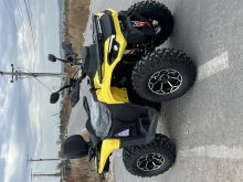 ATV 300cc