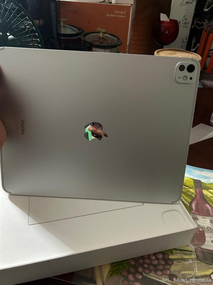 Apple IPad Pro 13\" M4 With Wi-Fi + Cellular - 256GB - Space