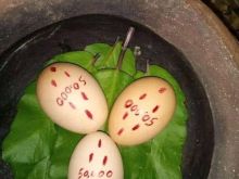 Can lost love come back?  +27735584255 UK, USA,CANADA, NAMI