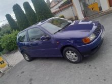 Polo