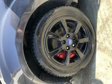 Shitet ford focus