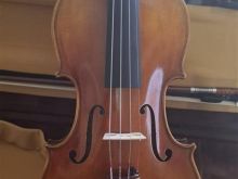 Violine