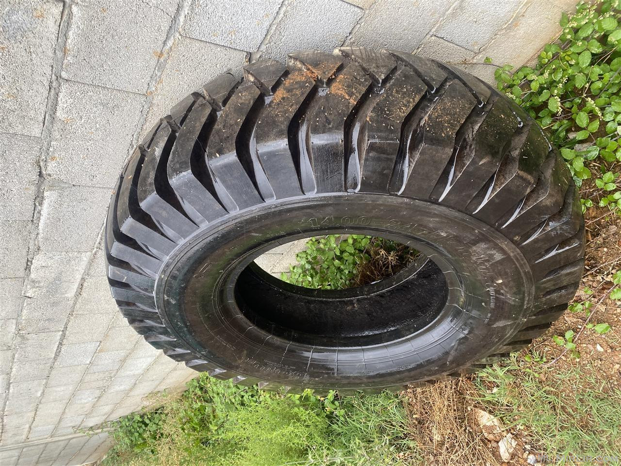 Shitet goma e re 14 R24