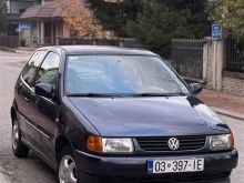 Shitet polo