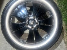 Fellne r18 Audi