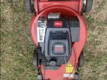 Toro