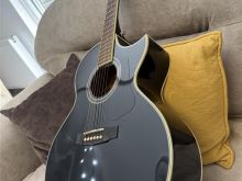 Gitare elektro akustike