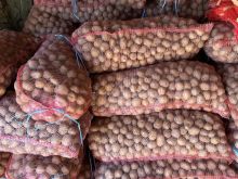 Patate