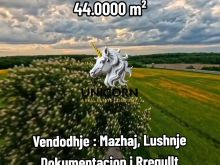 Shitet Toke Mazhaj Lushnje