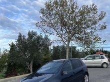 Golf 5