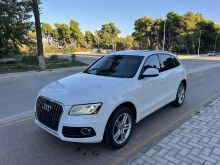 Audi Q5 Skine 3.0TDI Nafte Automat Viti 12-2014
