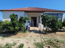 🏡Shitet  Shtëpi private +3640 m² tokë(vreshtari,100rrenje ullinj,peme frutore)fshat prane Kavajës