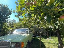W123