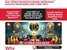 Hire the best Bitcoin & Crypto Recovery specialists / Digital Light Solution 