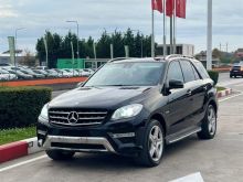 Mercedes-Benz ML 350 BluTEC 4MATIC - Viti 2013
