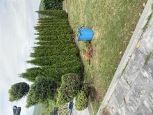 garden time