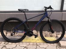 White    29er