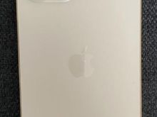 Shes iphone 12 pro max