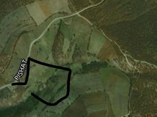 Tok 