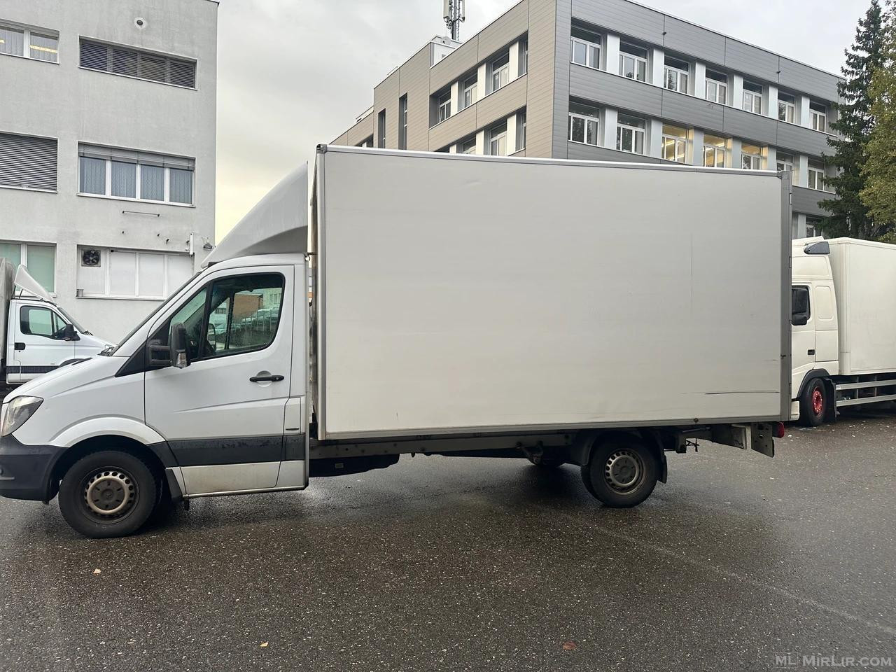 Sprinter 313