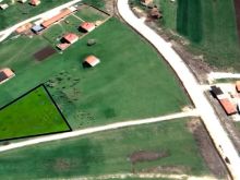 Shitet trulli 29.50 ari ne Bablak ne Ferizaj