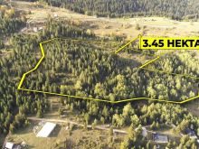 Trualli me sipërfaqe 3.45 Hektar  në Dugaivë - Rugovë