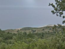 Palas, Tok ne Shitje, Buze Rruges Egzistuse “Palas- Himar”