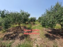 SHITET tokë 4.190 m2 në Manzë Durrës