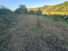 TOKE + NDERTESE PER SHITJE NË PLEPA SHKALLNUR DURRES
