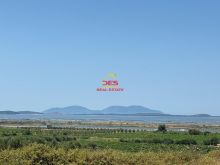 🆕🫒 SHITET TOKË – ULLISHTE NË PANAJA, VLORË