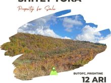 SHITET TOKA BUTOFC