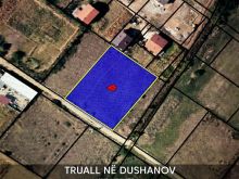Truall ne DUSHANOVE