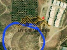SHITET TOKE NE SHIJAK, 8500 M2