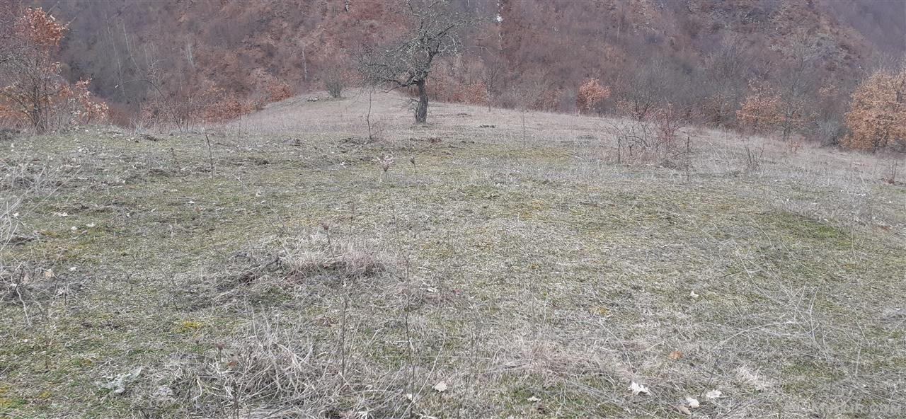 Tokë në shitje