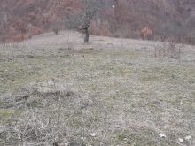 Tokë në shitje