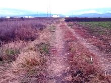Shiten 75 ari ne Konjuh afër rrugës Prishtinë-Ferizaj