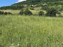 Shiten Trojet prej 4, 5 dhe 7 ari Kushevic Orllan