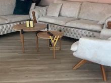 SHTEPI PRIVATE 2 KATE PER SHITJE NE LAPRAKE 250.000 EURO