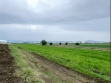 Shiten 2 hektar 30 ari tokë ne Gushteric e Ulte Graqanice