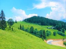 Shiten 30 ari tokë, Shtupeq i Madh, Rugovë