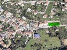 Shiten 5.50 ari truall në rrugën kryesore në lagjen Sofalia