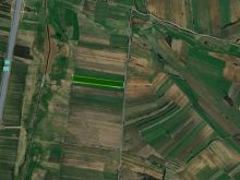 Shiten 1 hektar 10 ari toke ne Rahovice ne Ferizaj