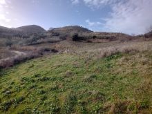 Shitet tokë 10.000 m² në Kallm, Durrës