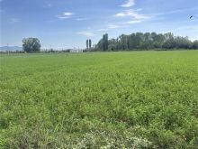 9600 m2 toke Sukth, Vadardhe
