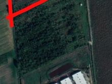 SHITET TOKË 17,000M², NË MAMURRAS!