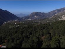 (T)🟢 SHITET TOKË 20,000M², DUKAT- VLORË!