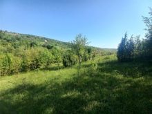 Shitet parcela me siperfaqe 10 ari.